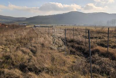 Teren Construcții intravilan de 560 mp, în Sud