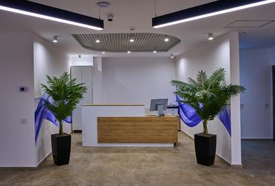 Nova Coworking Stirbei | Ultra Central | 20 Birouri Private | Modern | - 7