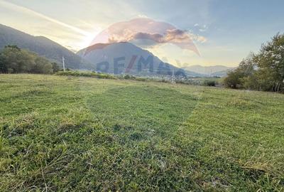 Teren 646mp intre Bran si Zarnesti (Tohanita,) intravilan - 18