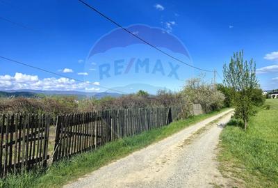 Teren Construcții de 6458 mp, în Central