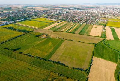 Teren de 10.000 mp situat în Bujac, Arad - 5