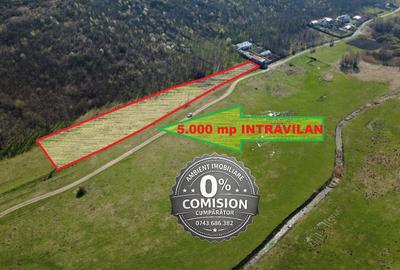 TEREN INTRAVILAN 5.000 mp, VASLUI - zona LAC DELEA; - 3