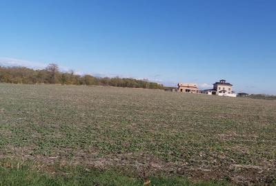 Vanzare 2000 mp, sau 3000 mp sau 5000 mp teren in Gradistea cu acces dinspre A3 - 8