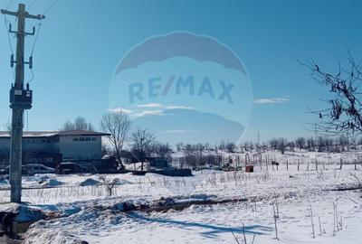 Teren 9,000mp Buftea / Strada Randunelelor - 6