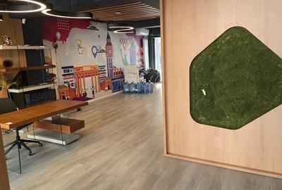 Zona Kiseleff adiacent imobil 5 camere disponibil pentru inchiriere - 6