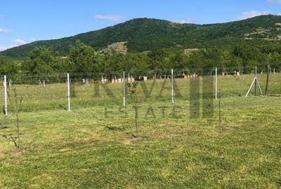 Teren Construcții intravilan de 800 mp, în Botinești