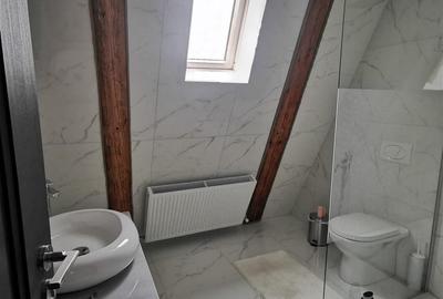 Casa individuala tip A-frame, Ipotesti, C-5506 - 10