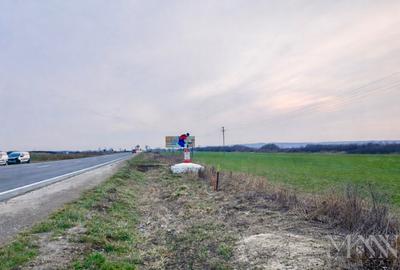 Teren intravilan de vanzare | Acces din DN1, Sacadat, jud. Bihor - 4
