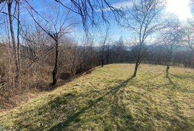 Teren de vanzare 1.622 mp Cornu de sus - 1