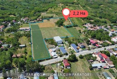 OPORTUNITATE UNICA IN DOMENIUL VITICOL - 3