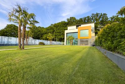 VILA SNAGOV - IESIRE DIRECTA LA LAC || FOISOR || LANGA PADURE || SPA - 3