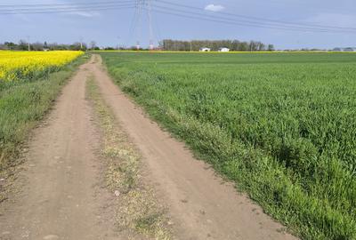 Frumusani DN 4 Popas-20km de Bucuresti , posibilitate parcelare - 3