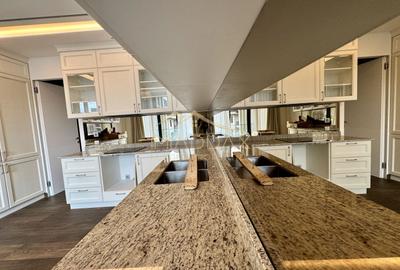 Penthouse cu 5 Camere *400mpc* / 67mp terasa / View 360 / Bd. Kiseleff - 9