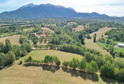 Teren intravilan, priveliste deosebita - 26