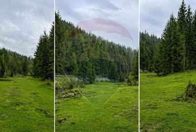 Arieșeni–Strada Fața Cristesei -Teren 4.331 mp cu Peisaj de Poveste - 2