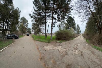 Teren intravilan Mogosesti | Giurgiu | 370.000mp | Adunatii Copaceni - 5