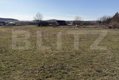 Teren Construcții intravilan de 5800 mp, în Hereclean