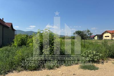 Teren intravilan | 4000 mp | 24.5 ml deschidere | Alba-Micesti - 3