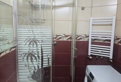 Inchiriez garsoniera in Deva, zona Dacia, parter, bloc de 4 etaje, mobilata - 9
