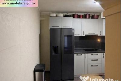 Casa de vanzare:Malu Rosu(compusa din 2 imobile separate in aceasi curte) - 10