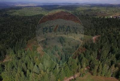 Teren extravilan parcelabil Călățele Pădure, zona Dealu Negru - 17