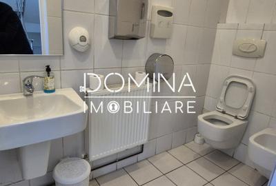 Inchiriere complex industrial versatil *hale - birouri - platforme betonate* - 8