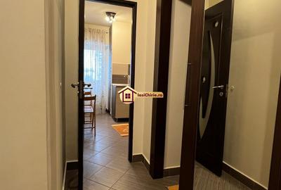 Apartament 1 camera Pacurari - 7