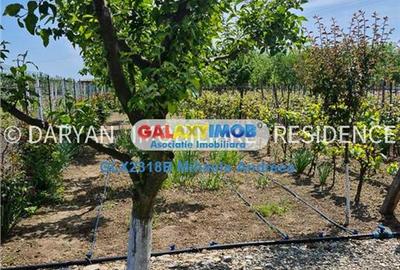 Teren in Poienari Apostoli, 21 E mp, Avantajos, DN1, 34.500 euro - 11