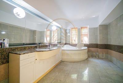 Ultracentral -Cladire impozanta  D+P+2E. - 21