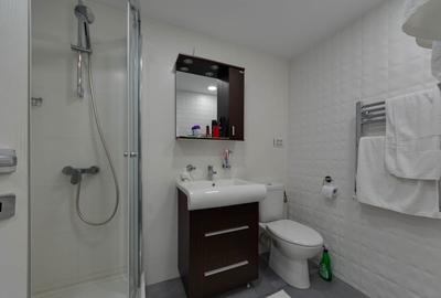 Vila Hellianthus | Vila individuala in Herăstrău - 21
