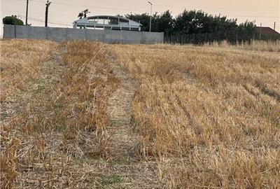 TEREN 2500MP BALACEANCA - 5