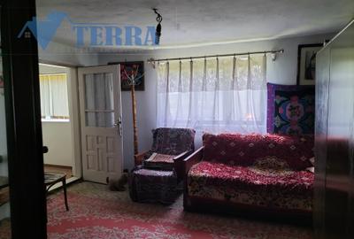 Casă cu teren de 2.300 mp și livadă în Rădești – Stâlpeni, Argeș - 7