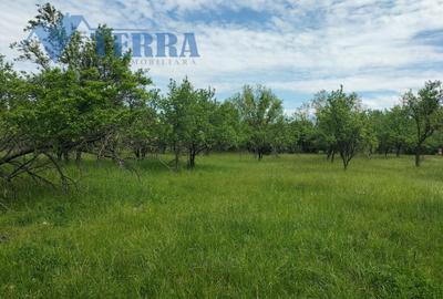 Casă cu teren de 2.300 mp și livadă în Rădești – Stâlpeni, Argeș - 6