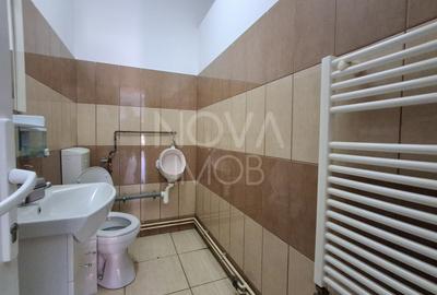 Pensiune 8 camere inchiriere - Sibiu - 16