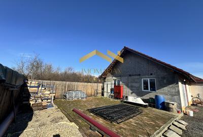Beregsau Mare-Casa Individuala-Renovata Complet - 16