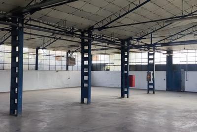 Hale + platforma betonata mp Giurgiului ( Zetari ) - 9