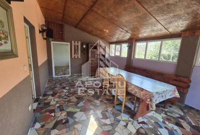 Casa spațioasă, 280 mp utili, Sânnicolau Mare - 4