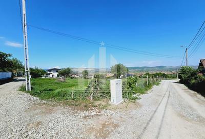 Teren Construcții intravilan de 3000 mp, în Micești