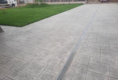 FARA COMISION casa 4 camere 2 bucatarii 2 puturi beci livada 1500mp SAU 3300mp - 4