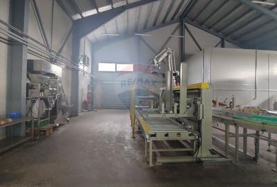 Spațiu industrial-depozit de 1120mp de închiriat în Dumbrăveni, SV - 39