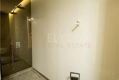 Apartament cu 4 camere de inchiriat Cortina Residence Herastrau - 41