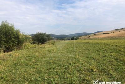 21.500 mp de teren cu privelisti superbe in Valea Agrisului (comuna Iara) - 7