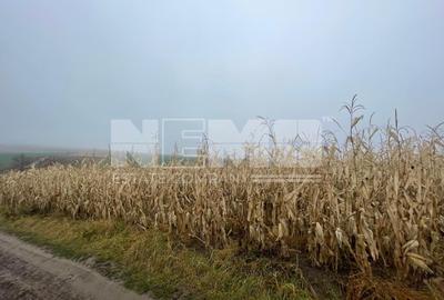 TEREN EXTRAVILAN | DOUA PARCELE 2.84 HA| DARMANESTI - 20