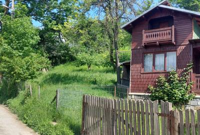 Casa gospodarului, bine întreținută, cu teren generos – Comarnic - 5