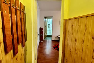 Apartament de inchiriat, o camera, semidecomandat, 35 mp, Podu Ros - 8