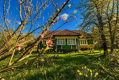 Domeniu de 3.400 mp cu traditionala casa, Suveica, Acatari Mures - 2
