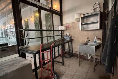 Zona Balcescu Maria Rosetti sp 310 mp P+E1+Terasa - 15