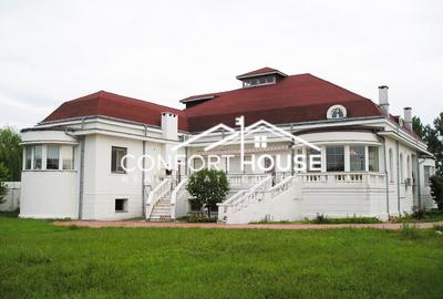 Proprietate impresionanta D+P+M, teren 4781MP, IANCU NICOLAE - 29