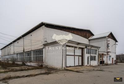 Teren 28.788m + Hale industriale + Sediu Firma - 25