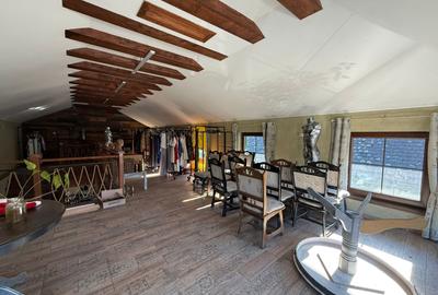 Spațiu comercial+locuință la mansardă,3 dormitoare, living,5 băi, teren 715 mp - 17